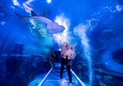 National Sea Life Centre Entrance Ticket